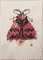 moth-1-2014-poor-quality-photo
